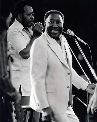 Muddy Waters - 8x10 B&W Photo  • $6.99