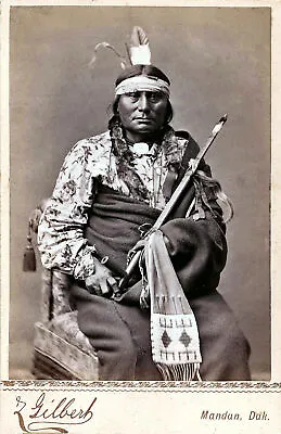 Native American Indian Chief Gaul Portrait 1880 Photo Art Print Picture • £4.50