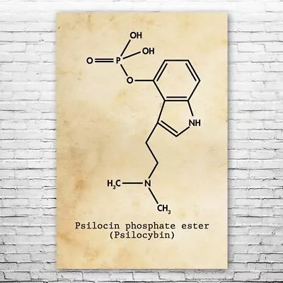 Psilocybin Molecule Poster Print Magic Mushrooms Psilocybin Art Stoner Gift • $12.95