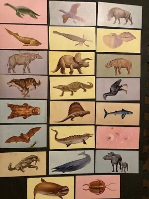 Vintage 1962 Gelles Widmer Flash Cards Educational Nature Prehistoric And Modern • $22.50