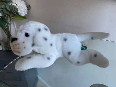 Crufts Dalmatian Plush  12” Soft Toy • £4.99