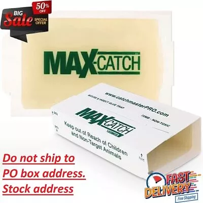 Mice Glue Traps Pest Sticky Boards 72 MAX Trap Catch Spiders Insects 36 Count • $42.89