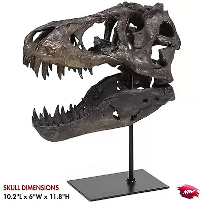 Replica Tyrannosaur Skull Faux Jurassic Dinosaur Bones T-Rex Head Fossil Decor • $238.26