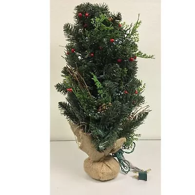 Pre-lit 2 Foot Artificial Mixed Pine And Cedar Christmas Tree With Berries Base • $39.98