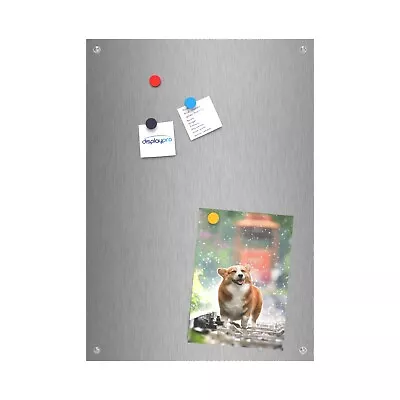 £8.61 • Buy Brushed Stainless Steel Magnetic Notice Message Boards Memo Display A4 A3 A2 A1