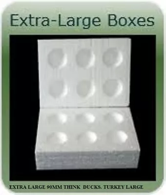 £18 • Buy 10 X 6 Extra Large Polystyrene Egg Boxes Hatching/incubation/large Ducks, Turkey