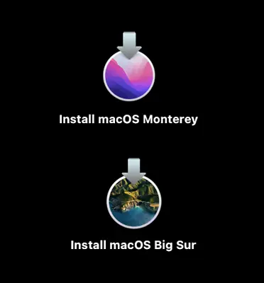 Mac Repair Service 2in1 Bootable  Drive Installer For Big Sur & Monterey • $29.99