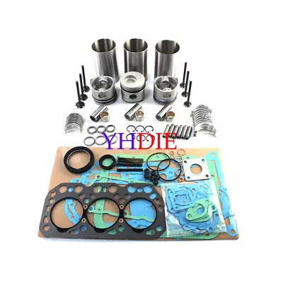 L3E-61SDH L3E Overhaul Rebuild Kit Fit For Mitsubishi Engine Volvo EC15 W Valves • $522