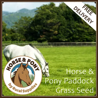 Horse & Pony Paddock Grass Seed |  ACRE PACKS (13kgs) | Horse Pasture | Grazing • £55