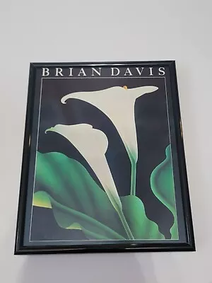 Brian Davis Hand Signed CALLA Iilly Framed Flowers • $59.95