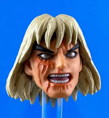 Storm Collectibles Ultra Street Fighter II Violent Ken Bloody Head Sculpt Beatup • $9.99