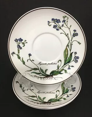 Villeroy & Boch Botanica Myosotis Palustris Saucers For Flat Cup 5 7/8  Set Of 3 • $29.98