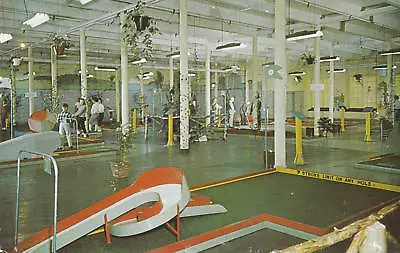 D5223 ME Brunswick Mill Outlet Mini Golf Postcard • $5.99