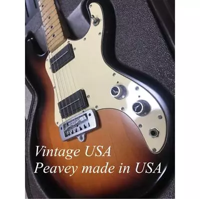 81 Year PEAVEY USA  USA Vintage  T15 Fulori Special Case No.MG267 • $1341.01