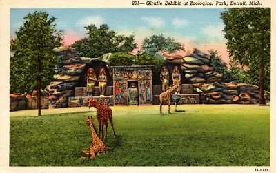 $3.95 • Buy Giraffe Exhibit At Zoological Park Zoo Detroit,MI Wayne County Michigan Vintage