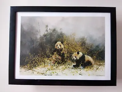 David Shepherd Print 'The Pandas Of Wolong'  FRAMED • £23