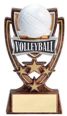 6  Volleyball 4-Star Series Trophy Personalized Free • $8.72