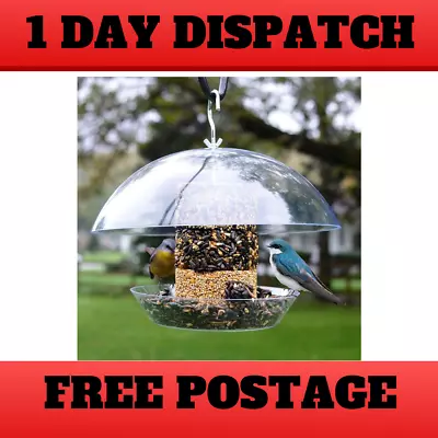 Dome Top Bird Feeder For Seed Squirrel Proof Songbird Bluebird And More • $19.90