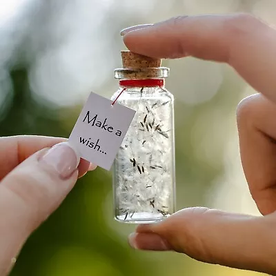 Make A Wish - Tiny Cute Magical Message In A Bottle Gift Idea - Dandelion Seeds • $31.99