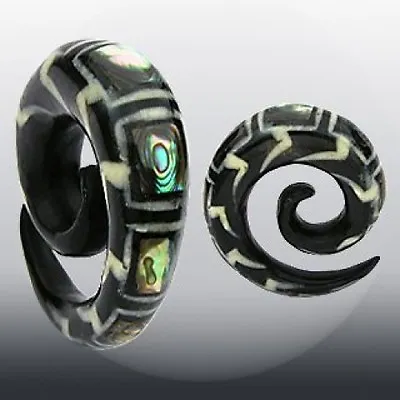 PAIR Organic Abalone Inlay Horn Spiral Tapers Plugs Gauges 2g 0g 00g • $19.95