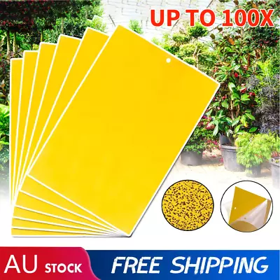 UP TO 100PCS Dual Sided Sticky Trap Insect Killer Whitefly Thrip Fruit Fly Gnat • $5.99