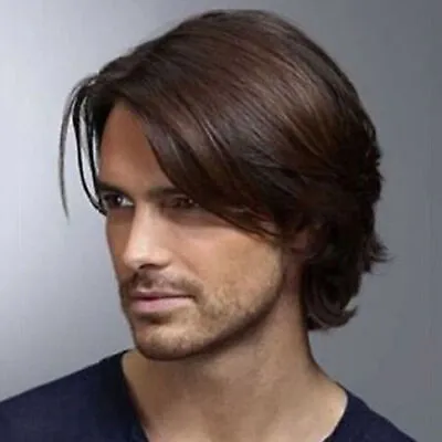 Handsome Mens Brown Natural Short Straight Wigs Male Hair Cosplay Full Wig UK • £13.59