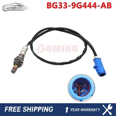 BG33-9G444-AB Downstream New Oxygen Sensor For Aston Martin Vantage S 4.7L GT8 • $39.90