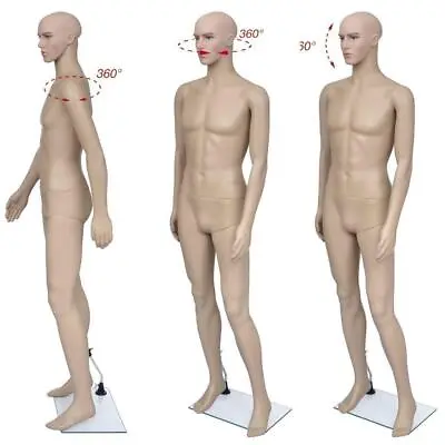 Male Full Body Realistic Mannequin Display With Base 183CM High Quality • $79.99