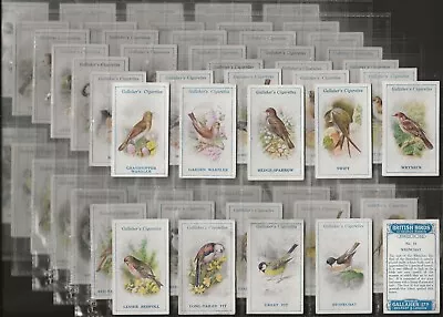Gallaher-full Set- British Birds By George Rankin (100 Cards)  • £29.99