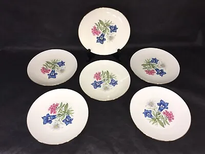 Alka Kunst AK Alboth & Kaiser Floral Dessert Salad Plates X6 Bavaria 1950s   • $25.60