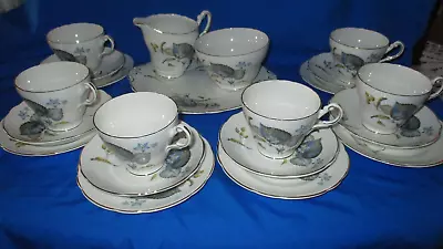 £32 • Buy Regency Bone China Tea Set 21 Piece