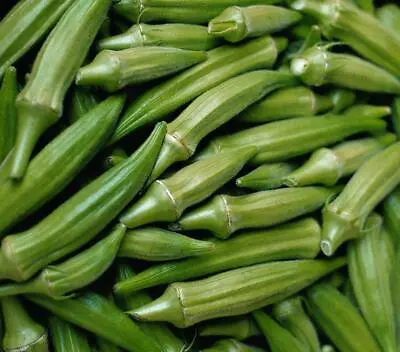 Okra Clemson Spineless Bhindi Health Benefits 300 Seeds Indian/Cajun Recipes • £4.19