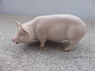 Aynsley Pottery The Boar Pig Figurine • £19.99
