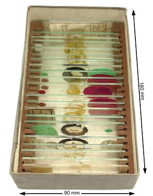 21 Vintage Slides In Original Box For Microscope • $50