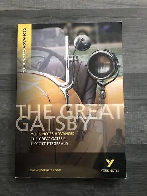 York Notes Advanced The Great Gatsby Study Guide AS/Alevel English Literature • £4.50