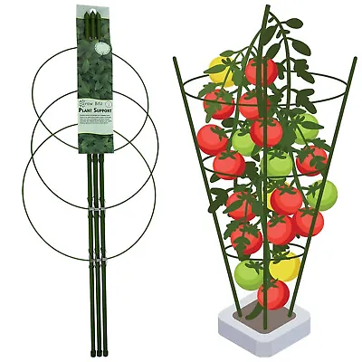 Collapsible Plant Support Cage Garden Trellis Grow Stakes Metal Bamboo Poles Set • £20