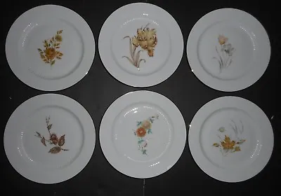 Rare Set Of 6 Dessert Salad Plates AK Kaiser Made In West Germany CS Signed Dish • $79.99
