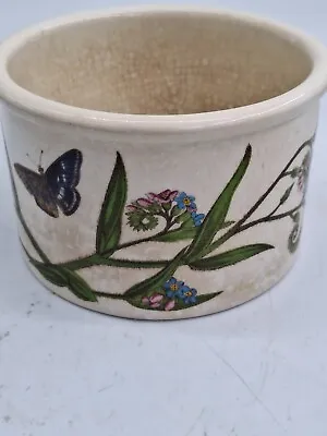 Portmeirion Botamic Garden Planter Pot Made In England • $19.95