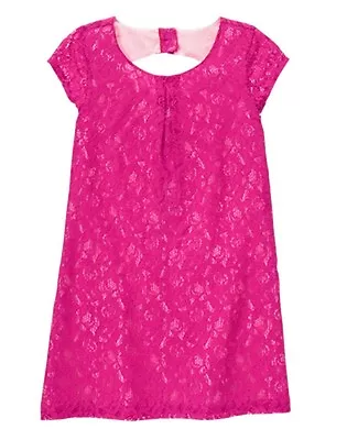 NWT Gymboree Family Brunch Lace Shift Dress 45 6781012 Wedding Easter Girl • $14.98