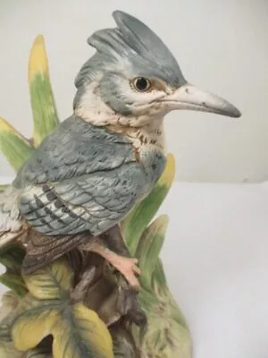 Vintage Belted Kingfisher Bird In Greenery Figurine Porcelain 6  Unsigned Shore • $24.99