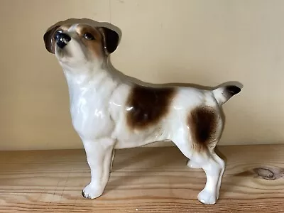 A China Jack Russel Dog • £10