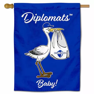 Franklin & Marshall College New Baby Gift Decorative House Flag • $22.95