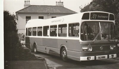 £1.15 • Buy HANTS&DORSET Bus Photograph Reg GLJ 681N Ref 315/12s