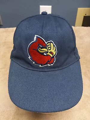 Memphis Redbirds Hat Minor League Baseball VINTAGE Rockey Cardinals   • $17