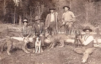 Repro 8x10 Photo Hunters Rifles Cougar Puma Hounds Mountain Lions Oregon • $11.99
