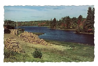 Postcard Maine Norway Lake Pennesseewassee Logs • $5.90