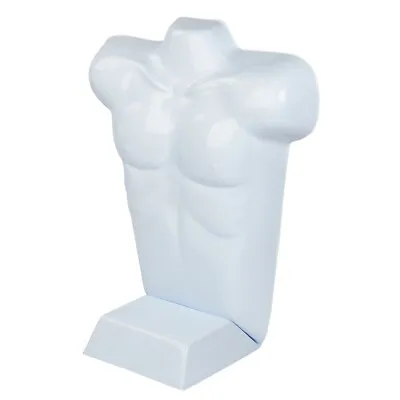 SSWBasics Economy Male White Plastic Countertop Mannequin - Fits Men's Sizes S-L • $28.53