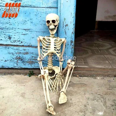 Human Skeleton Bones Real 40cm Size Hanging Halloween Props Decoration House Dd • $9.13