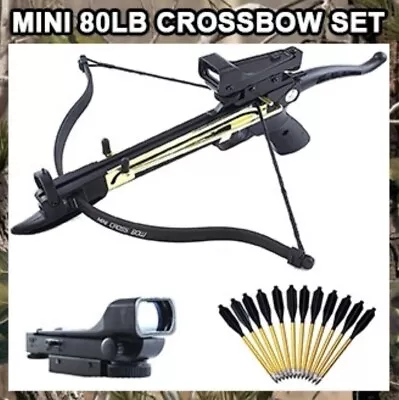 NEW 80 LB ARCHERY HUNTING Gun SELF COCKING PISTOL CROSSBOW W ARROW BOLTS + Scope • $61.70