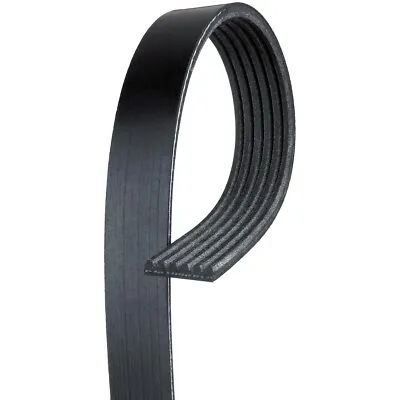 6K705 AC Delco Serpentine Belt For Chevy Olds De Ville NINETY EIGHT Cutlass • $96.41